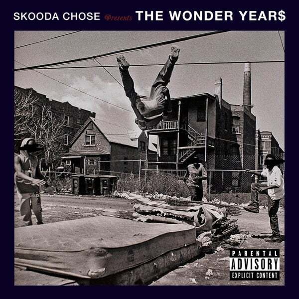 Cover art for The Wonder Year$